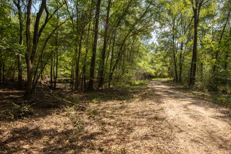 33_698aaee4-468b-4822-998e-a4e969b19c1e