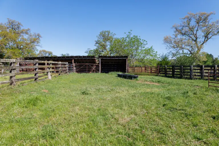 33_bf214765-e5fa-49ba-bba1-1aa54312ce39