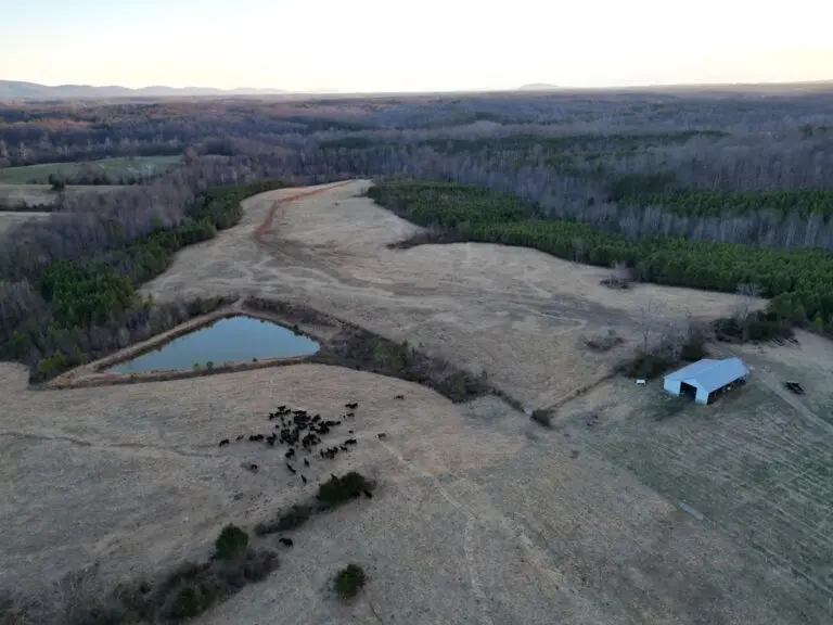 33_ebab1efa-6b50-4af2-a699-f0ec5c68a1b3