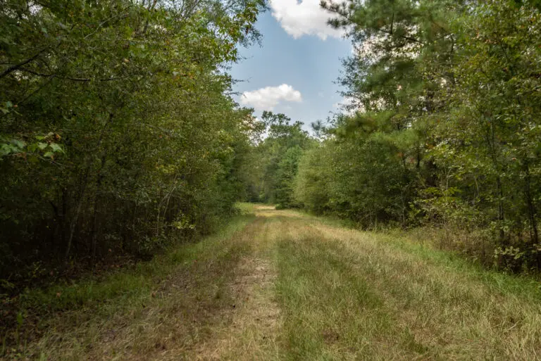 34_cf869853-6ed5-4564-964f-caf6e6a43556