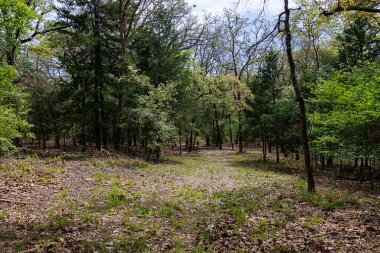 35_577445dc-eddf-4a3a-a8eb-3a99c7ba3672