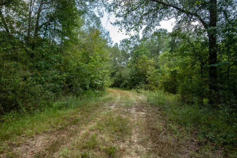 35_d1b23acd-08f9-4174-ab5a-bc9783fb7655