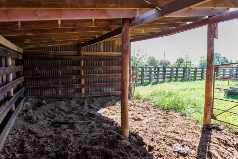 37_134bf868-e0b3-4cf3-a523-8c084ab0f85d