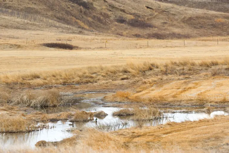 37_d22891dc-049c-4720-8f1b-ee11431c8700