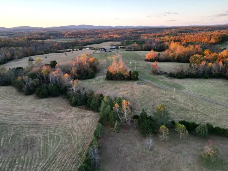 38_d9c9329a-b5be-4b4f-aed5-43153964a585