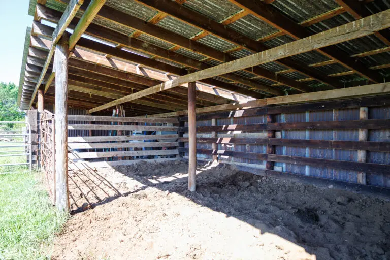 38_f13759c0-2653-4dac-9307-f9540828312b