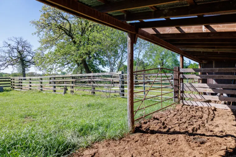 39_e0b7bf5e-7a06-4c06-8ec7-7de423f8ce93