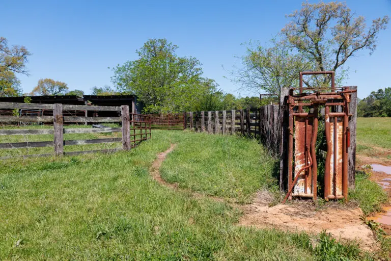 40_2ae7b8b8-5194-44e6-9787-5d8b54a14e31