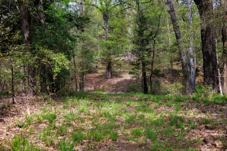 40_78346fce-4c08-4e29-b755-93c005588ff6