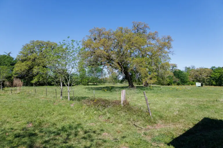 41_9cab6118-3d4b-4ee8-bdd1-5957f5cd1559