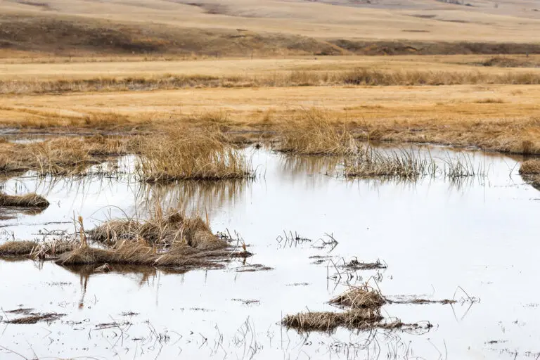 42_245fb1ab-68c8-431e-9cd3-09208181a530