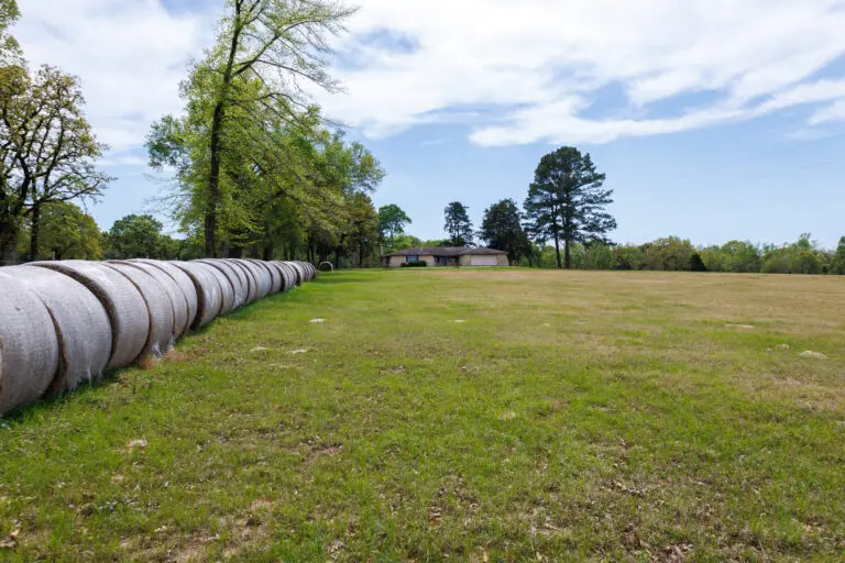 42_58ae49a7-bb44-4813-9140-27cfd2486b72