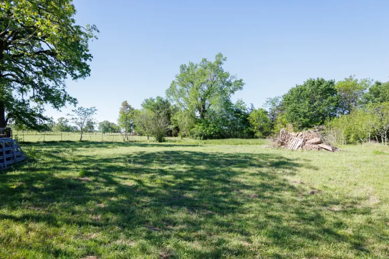 46_53dbd935-3c64-4016-a56c-cc5839870911