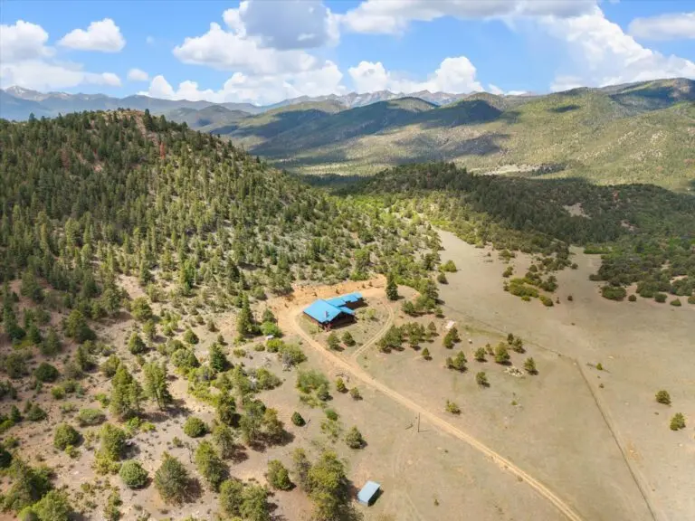 Colorado property bordering public land 20