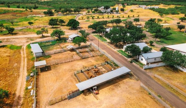 Turnkey Horse Ranch with Four Homes For Sale in Laredo