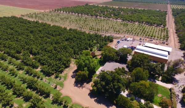 Northern California Ranch with Income-Producing Orchards