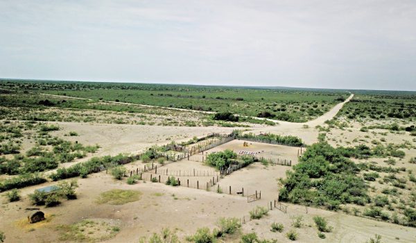 Large West Texas Hunting Ranch | Pandale